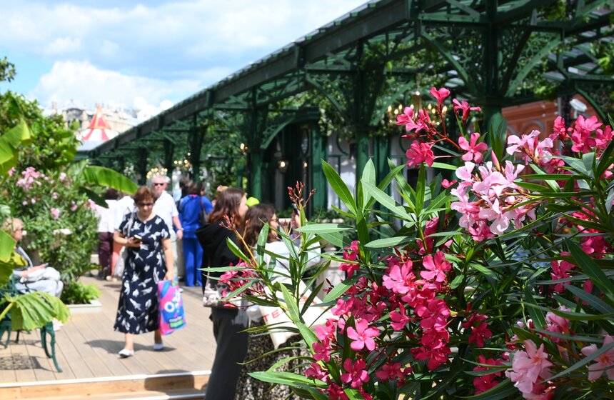 В центре Москвы открылись площадки фестиваля "Сады и цветы" 4 фото