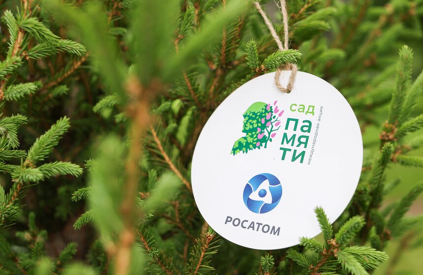 На Поклонной горе высадили 15 молодых елей в День памяти и скорби 13 фото