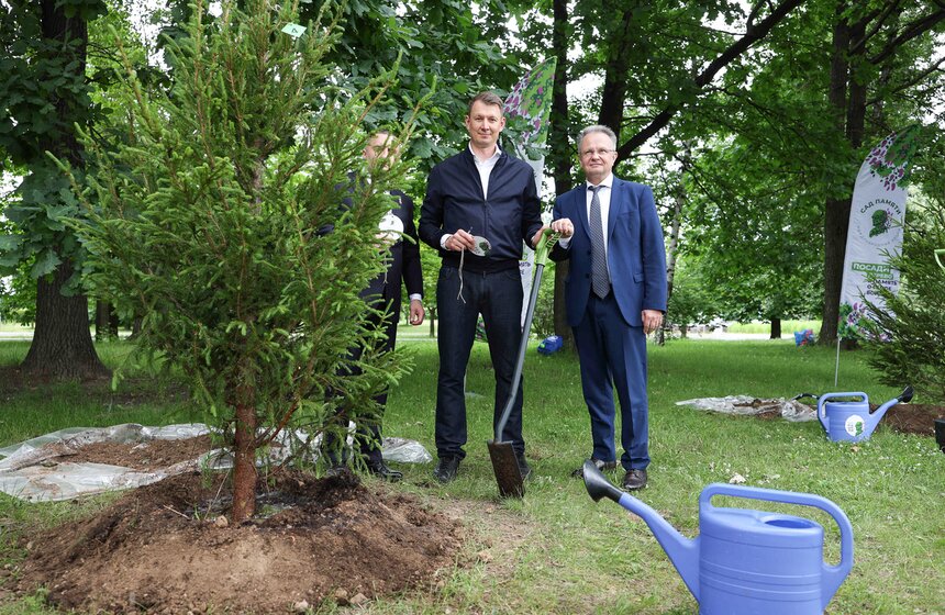 На Поклонной горе высадили 15 молодых елей в День памяти и скорби 21 фото