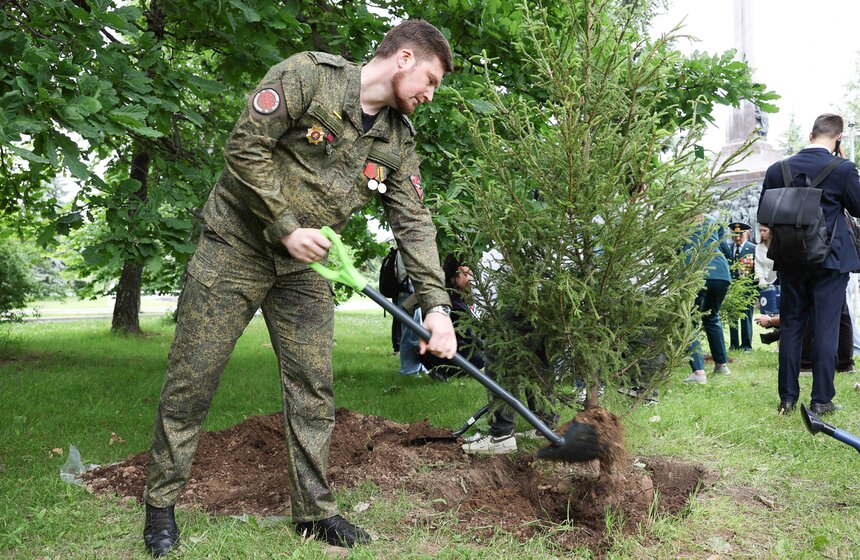 На Поклонной горе высадили 15 молодых елей в День памяти и скорби 20 фото