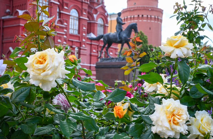 В центре Москвы открылись площадки фестиваля "Сады и цветы" 27 фото