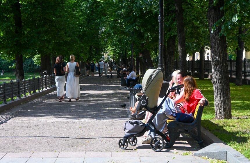 Жара в Москве достигла 31,5 градуса 2 июля 24 фото