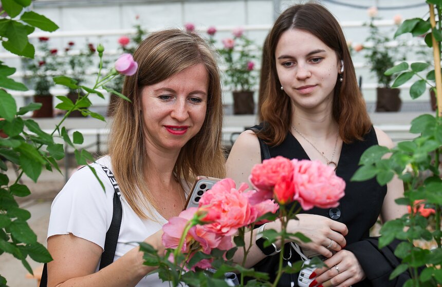 Редкие сорта роз представили на выставке в "Аптекарском огороде" 19 фото
