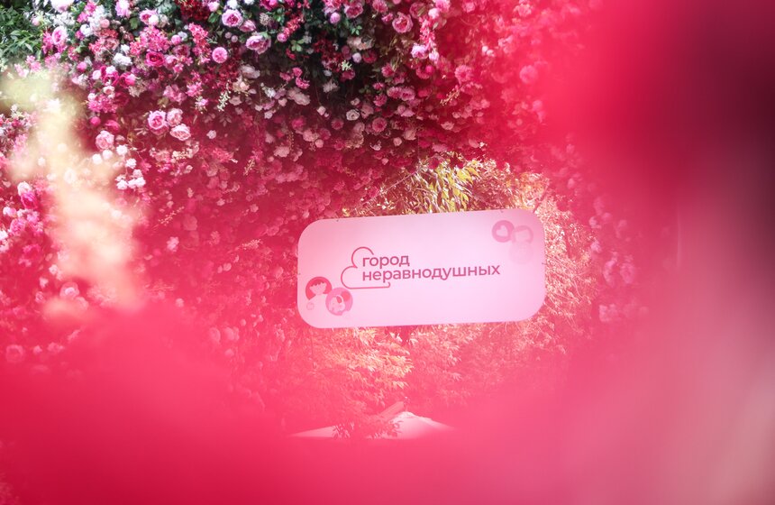Благотворительный фестиваль "Город неравнодушных" прошел в саду имени Баумана 34 фото