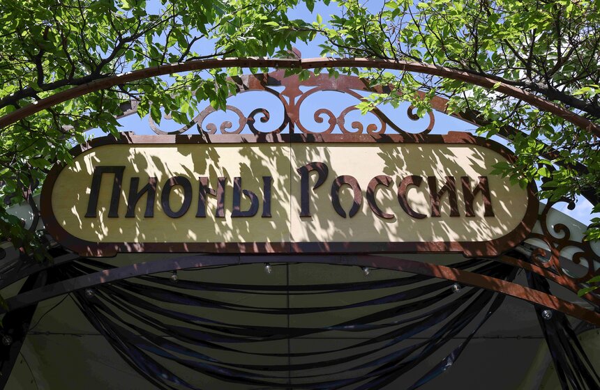 Более 300 видов пионов представлены на фестивале в Московском зоопарке 1 фото