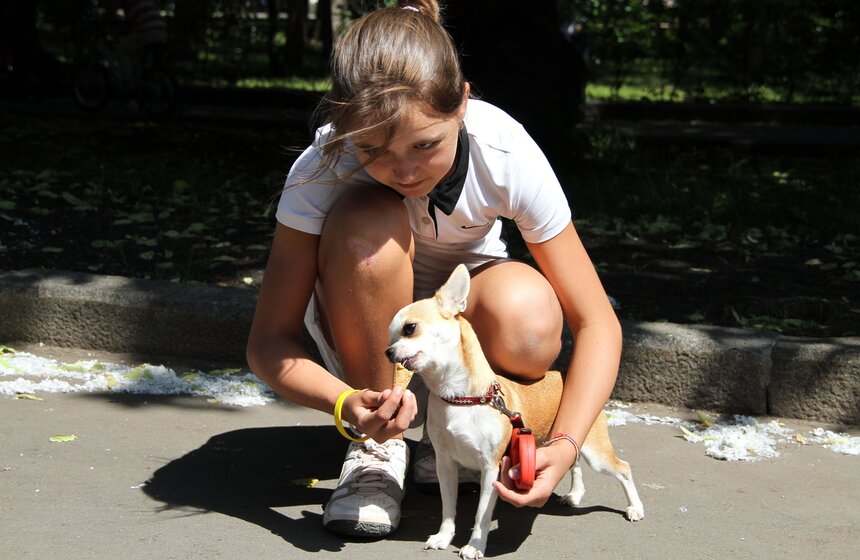 Праздник мороженого прошел в парке "Сокольники" 16 фото