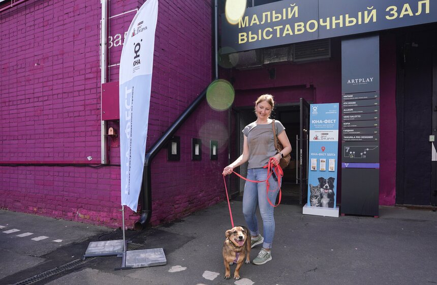 Выставка-пристройство животных "Юна-Фест" состоялась в Москве 32 фото