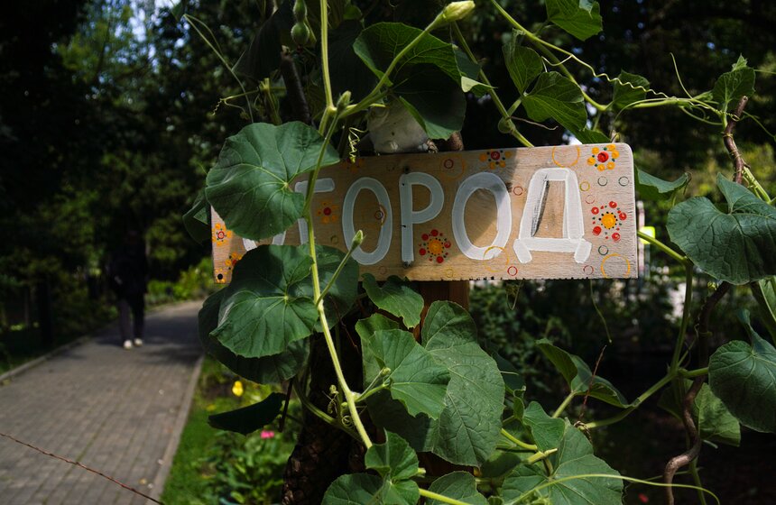На "Городской ферме" на ВДНХ представили летние новинки 11 фото