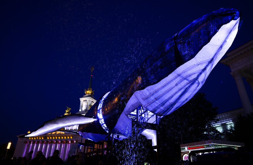 Огромный кит появился на ВДНХ во время фестиваля искусств "Вдохновение" 6 фото