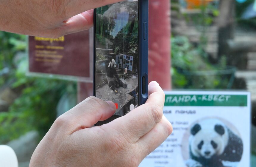 В Московском зоопарке отметили 10-летие панды Жуи 11 фото