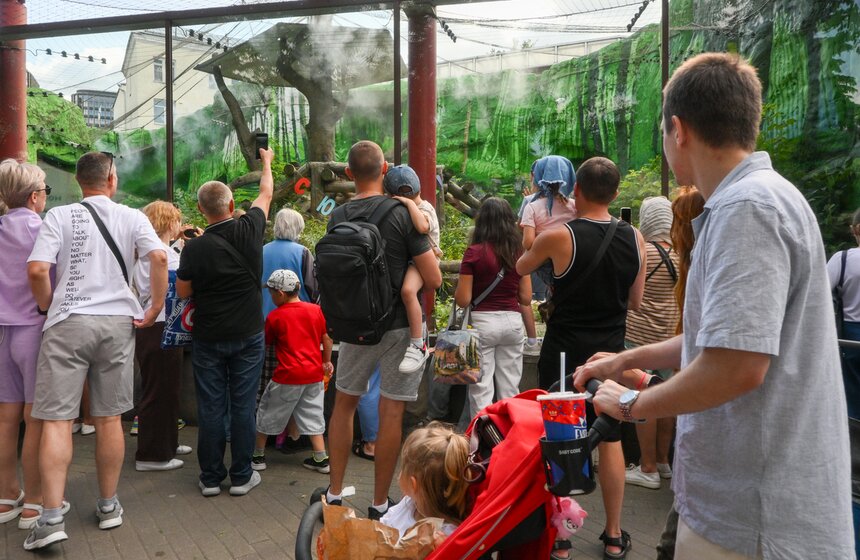 В Московском зоопарке отметили 10-летие панды Жуи 5 фото
