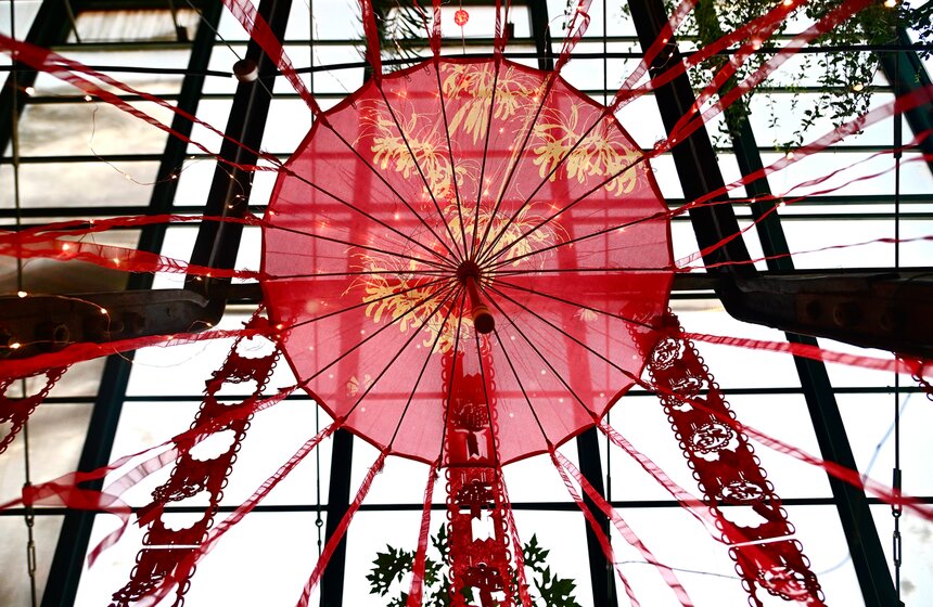 "Аптекарский огород" украсили к фестивалю китайского Нового года 5 фото