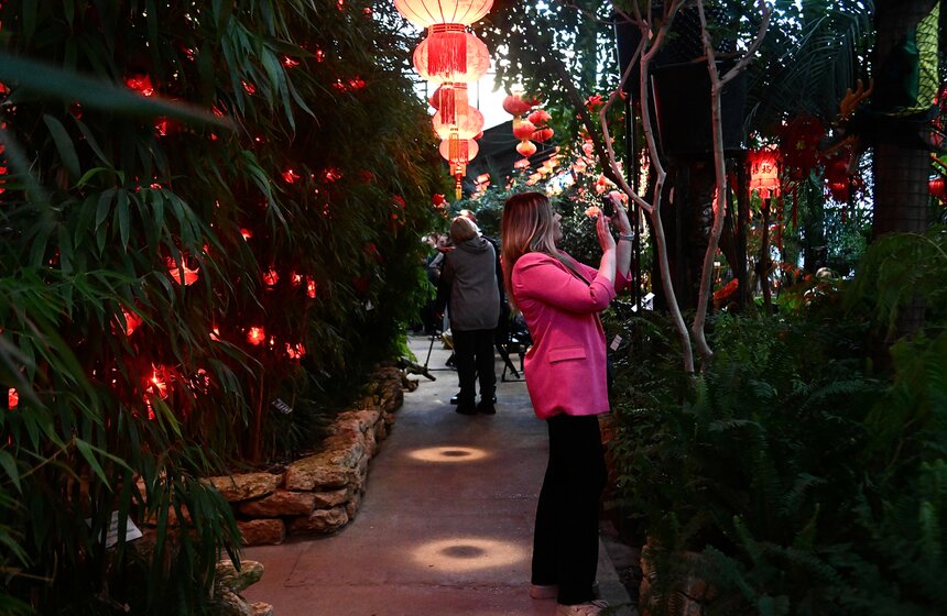 "Аптекарский огород" украсили к фестивалю китайского Нового года 8 фото