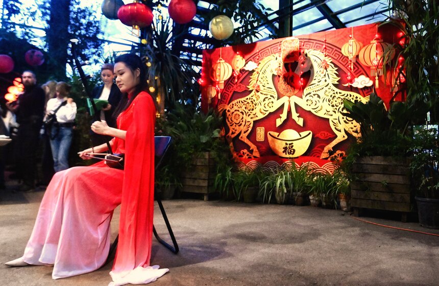 "Аптекарский огород" украсили к фестивалю китайского Нового года 10 фото