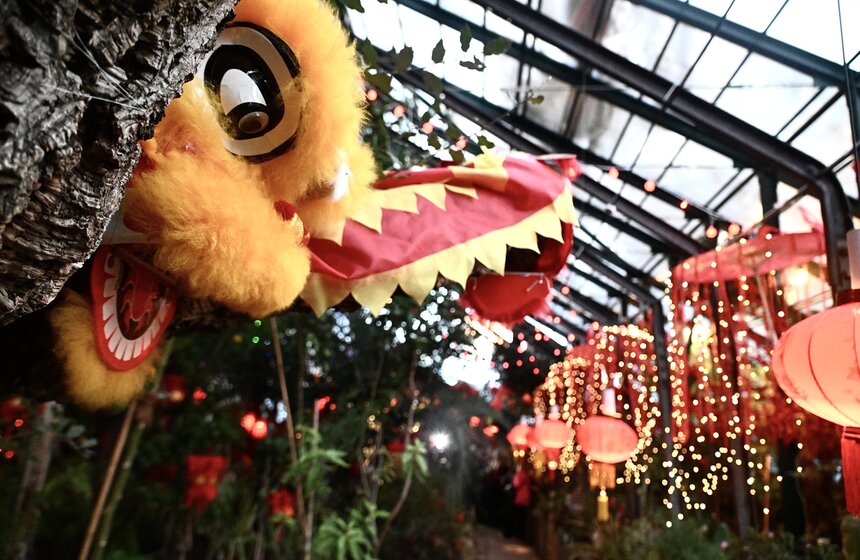 "Аптекарский огород" украсили к фестивалю китайского Нового года 12 фото