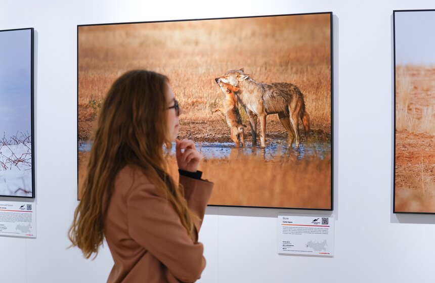 Фестиваль "Первозданная Россия" открылся в Москве 22 фото