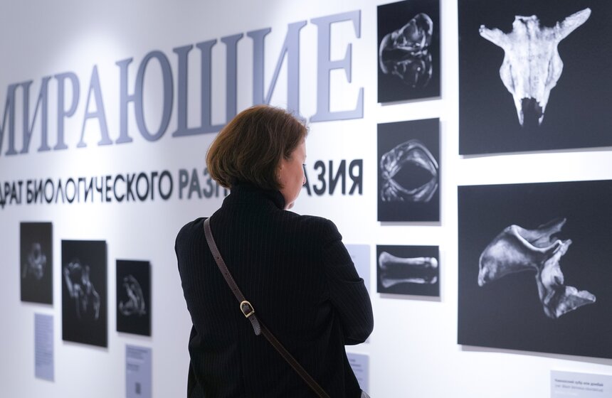 Фестиваль "Первозданная Россия" открылся в Москве 14 фото