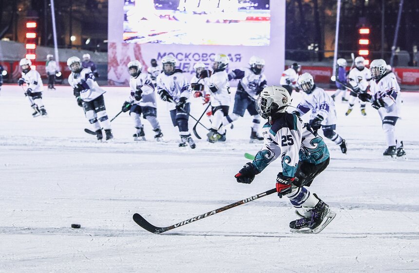 Гала-матч со звездами прошел в "Лужниках" в рамках Московской недели хоккея 14 фото