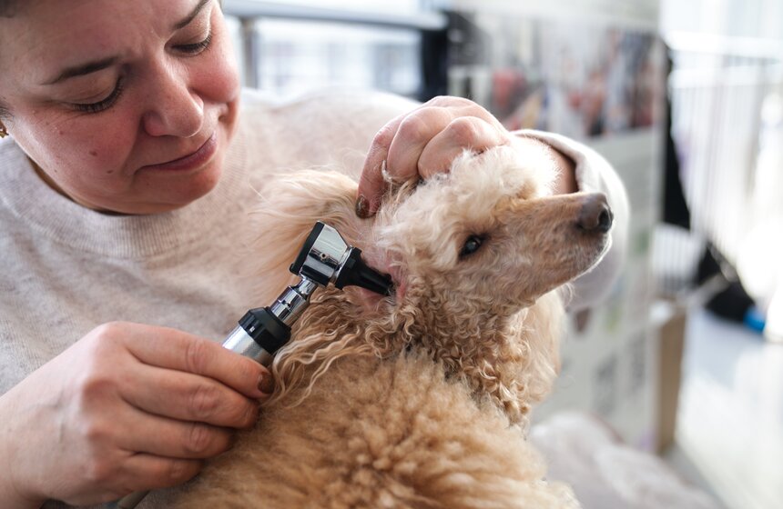 Фестиваль московской науки прошел во Дворце пионеров 27 фото