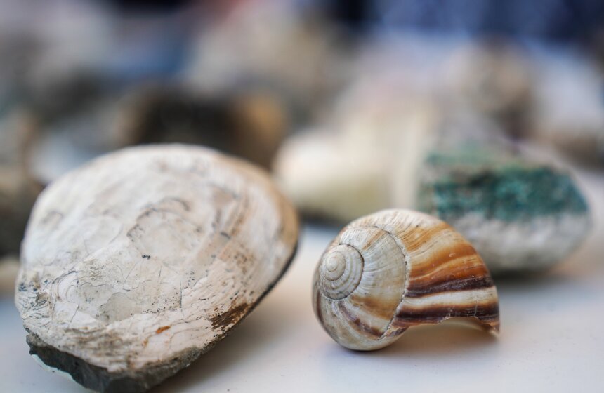 Фестиваль московской науки прошел во Дворце пионеров 10 фото