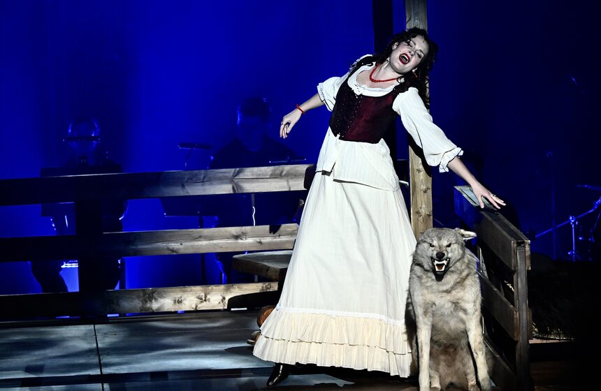 Премьера спектакля "На бойком месте" состоялась в Театре сатиры 10 фото