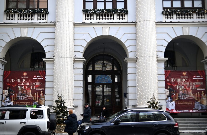 Выставка "Лучшие собаки и кошки России" прошла в Москве 1 фото