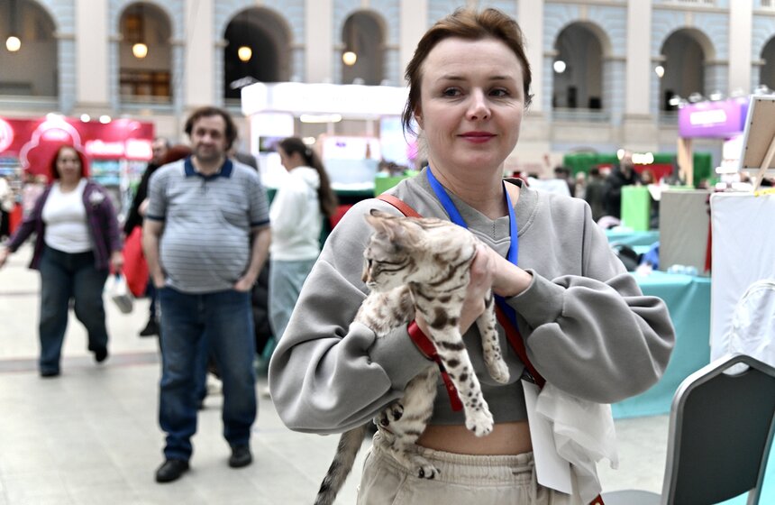 Выставка "Лучшие собаки и кошки России" прошла в Москве 33 фото