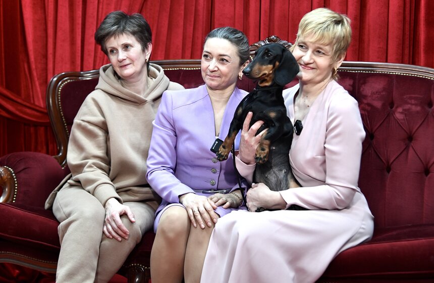 Выставка "Лучшие собаки и кошки России" прошла в Москве 31 фото