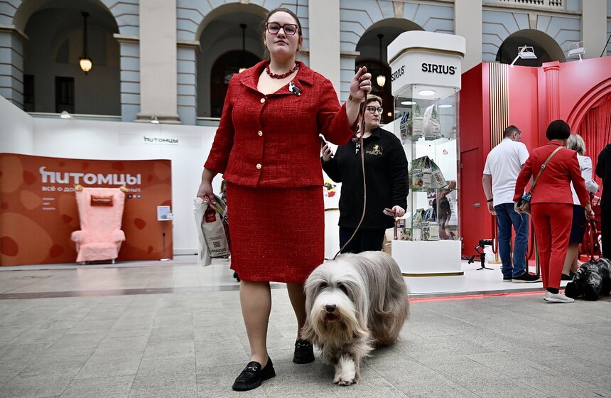 Выставка "Лучшие собаки и кошки России" прошла в Москве 10 фото