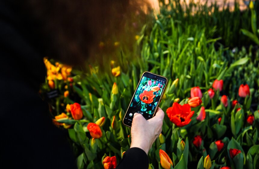 Выставка "Репетиция весны" открылась в "Аптекарском огороде" 15 фото