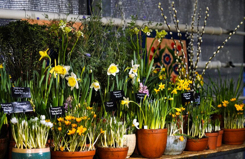 Выставка "Репетиция весны" открылась в "Аптекарском огороде" 22 фото