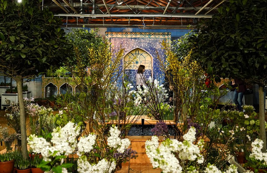 Выставка "Репетиция весны" открылась в "Аптекарском огороде" 2 фото