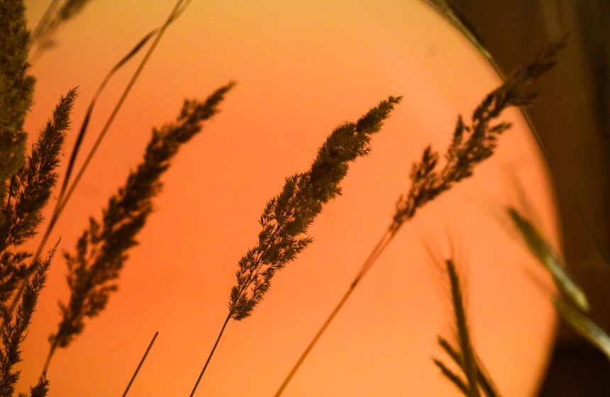 Арт-проект "РУниверсум" открылся в Петровском путевом дворце 23 фото