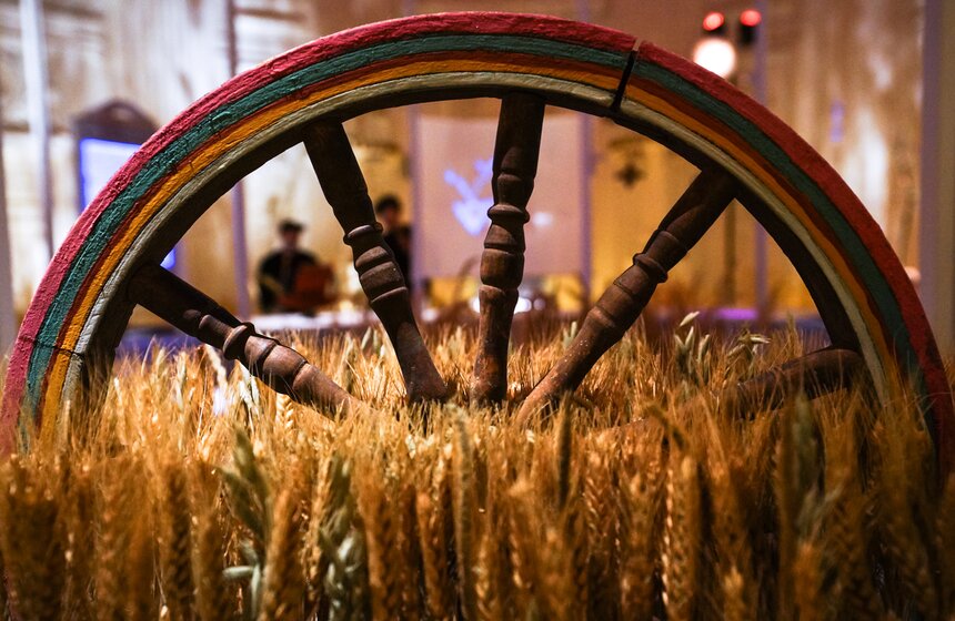 Арт-проект "РУниверсум" открылся в Петровском путевом дворце 13 фото