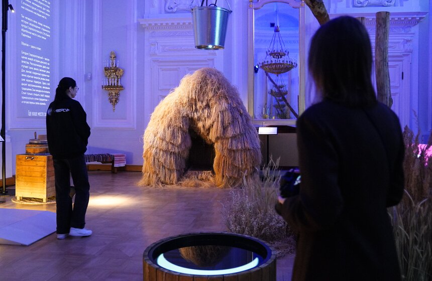 Арт-проект "РУниверсум" открылся в Петровском путевом дворце 45 фото