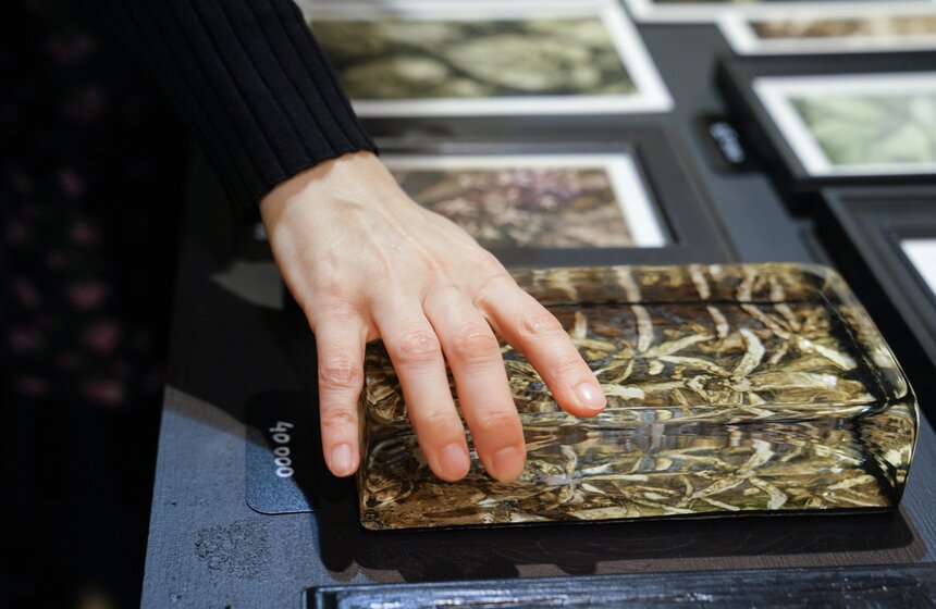 В Москве открылась обновленная ярмарка "Вин-Вин" 17 фото