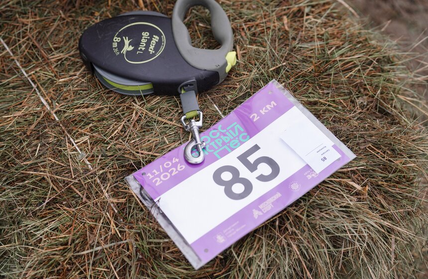 Кросс "Быстрый пес" собрал около 300 бегунов с собаками в Москве 2 фото