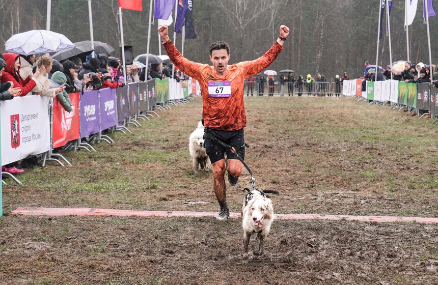 Кросс "Быстрый пес" собрал около 300 бегунов с собаками в Москве 33 фото