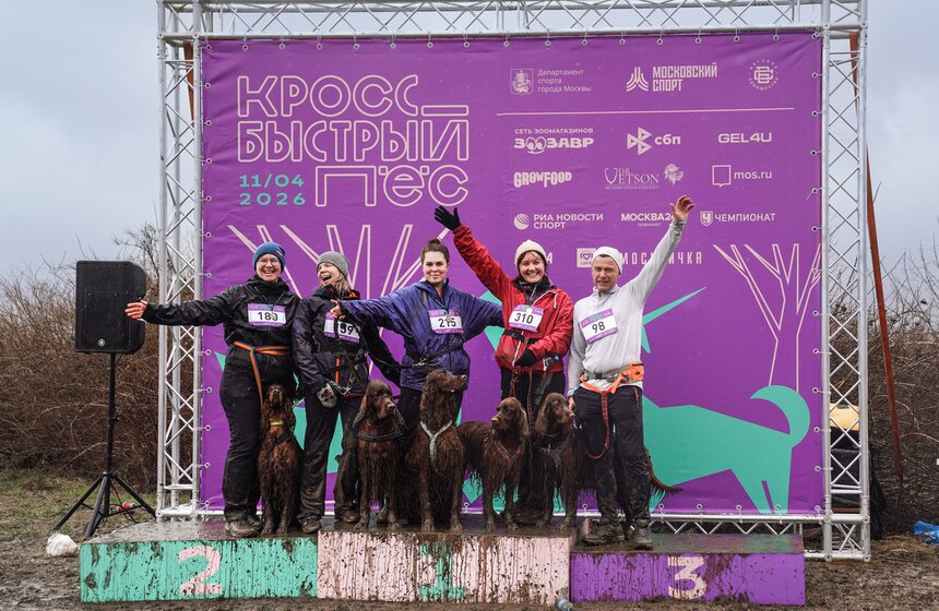 Кросс "Быстрый пес" собрал около 300 бегунов с собаками в Москве 44 фото