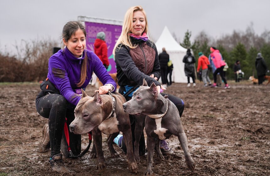 Кросс "Быстрый пес" собрал около 300 бегунов с собаками в Москве 5 фото