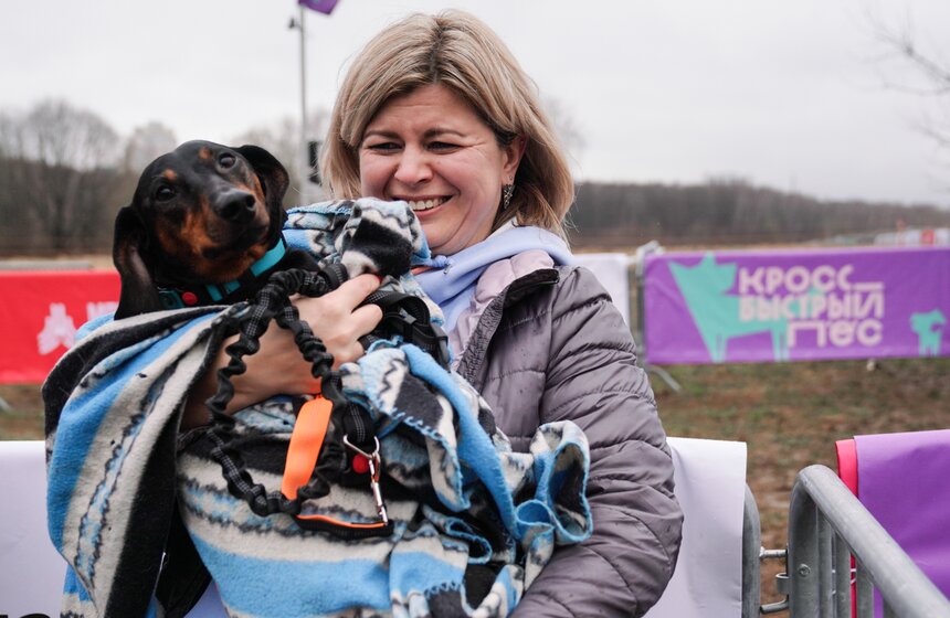 Кросс "Быстрый пес" собрал около 300 бегунов с собаками в Москве 10 фото