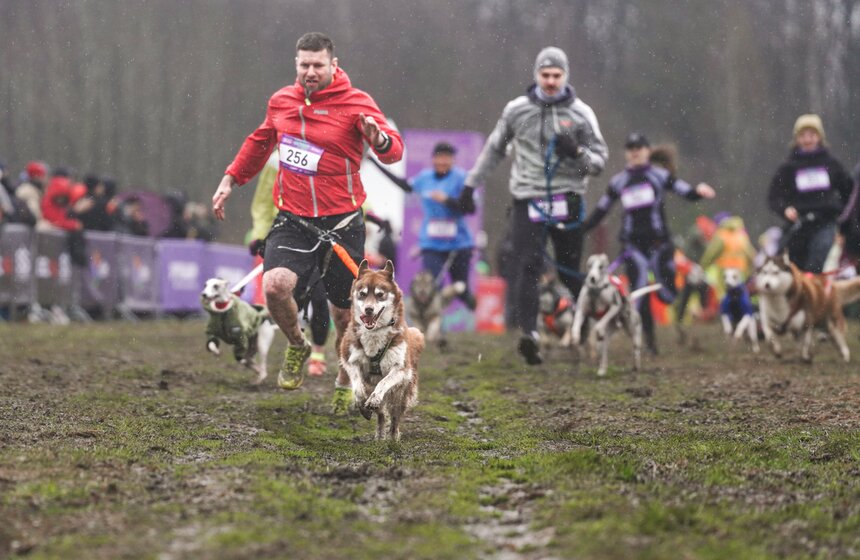 Кросс "Быстрый пес" собрал около 300 бегунов с собаками в Москве 24 фото