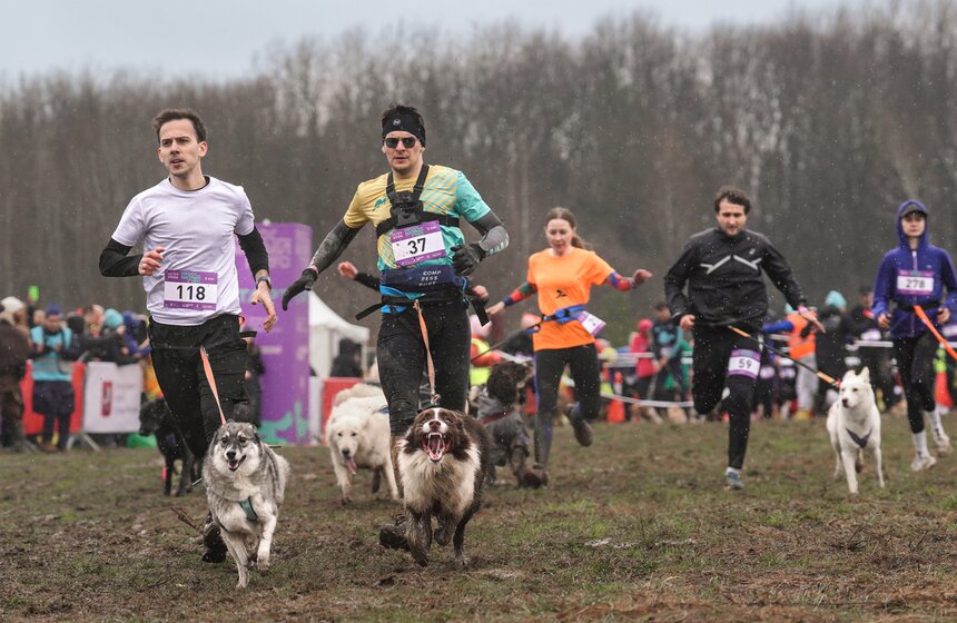 Кросс "Быстрый пес" собрал около 300 бегунов с собаками в Москве 20 фото
