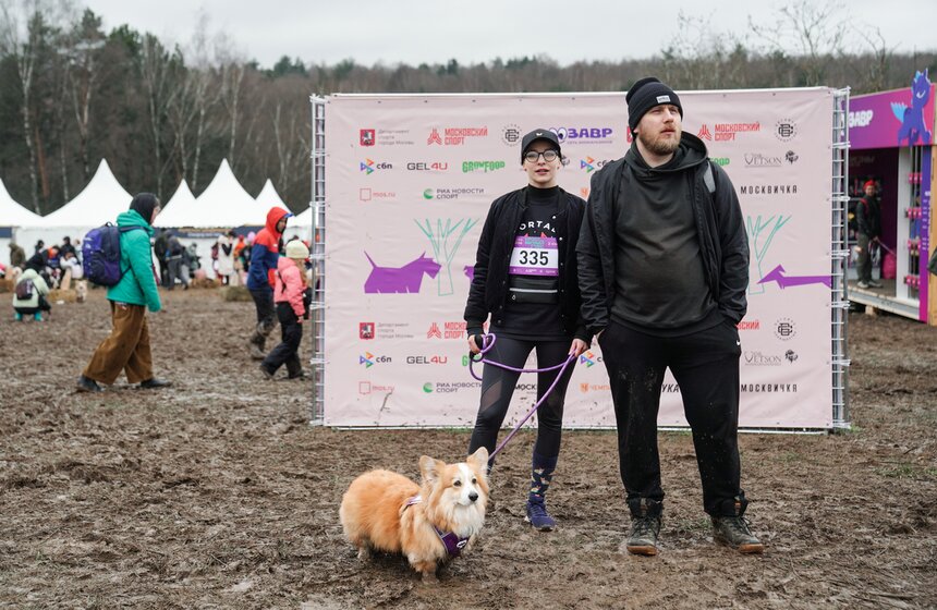 Кросс "Быстрый пес" собрал около 300 бегунов с собаками в Москве 1 фото