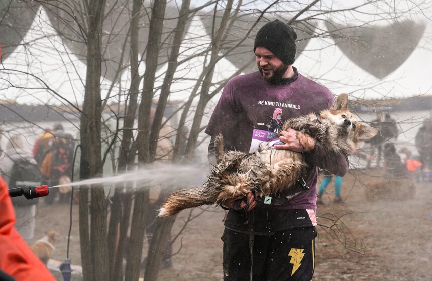 Кросс "Быстрый пес" собрал около 300 бегунов с собаками в Москве 38 фото