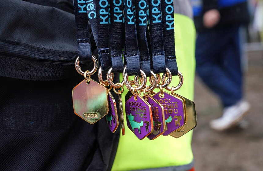 Кросс "Быстрый пес" собрал около 300 бегунов с собаками в Москве 16 фото