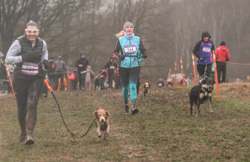 Кросс "Быстрый пес" собрал около 300 бегунов с собаками в Москве 29 фото