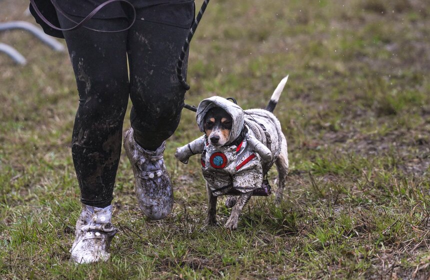 Кросс "Быстрый пес" собрал около 300 бегунов с собаками в Москве 31 фото