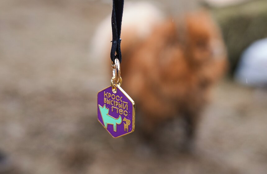 Кросс "Быстрый пес" собрал около 300 бегунов с собаками в Москве 43 фото