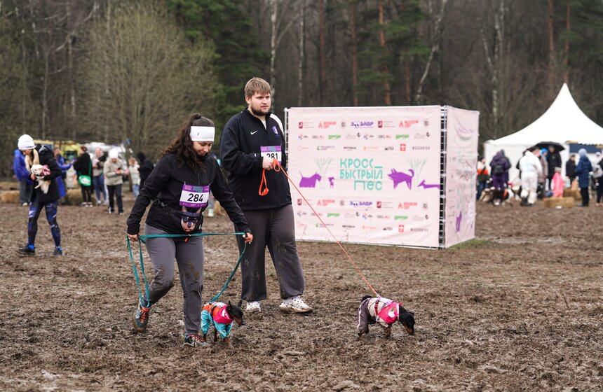 Кросс "Быстрый пес" собрал около 300 бегунов с собаками в Москве 13 фото